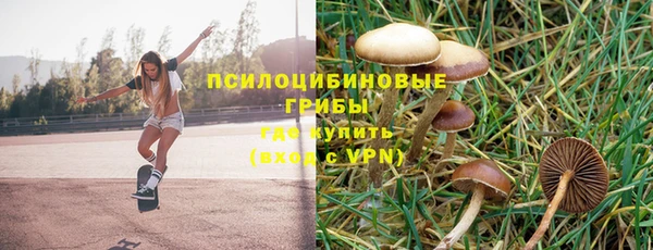 винт Баксан
