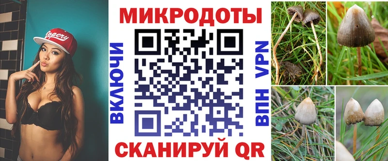 Галлюциногенные грибы мухоморы  купить наркотики цена  Гаврилов Посад 